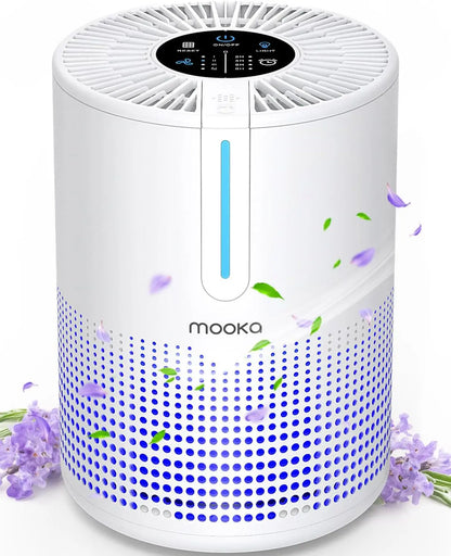 Air Purifiers for Bedroom - H13 HEPA, 430 Sq.Ft Coverage